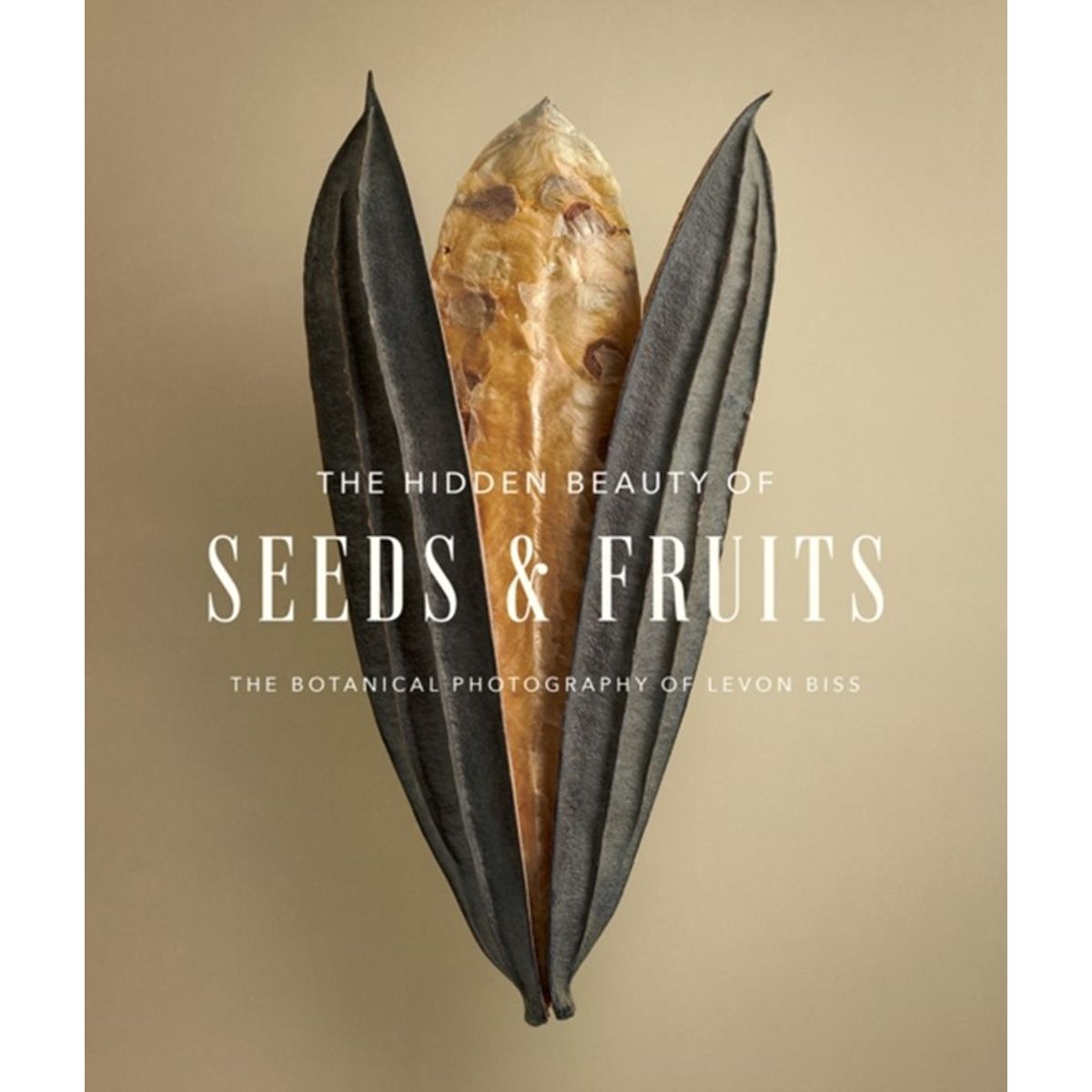 The Hidden Beauty of Seeds & Fruits: The Botanical Photography of Levon Biss