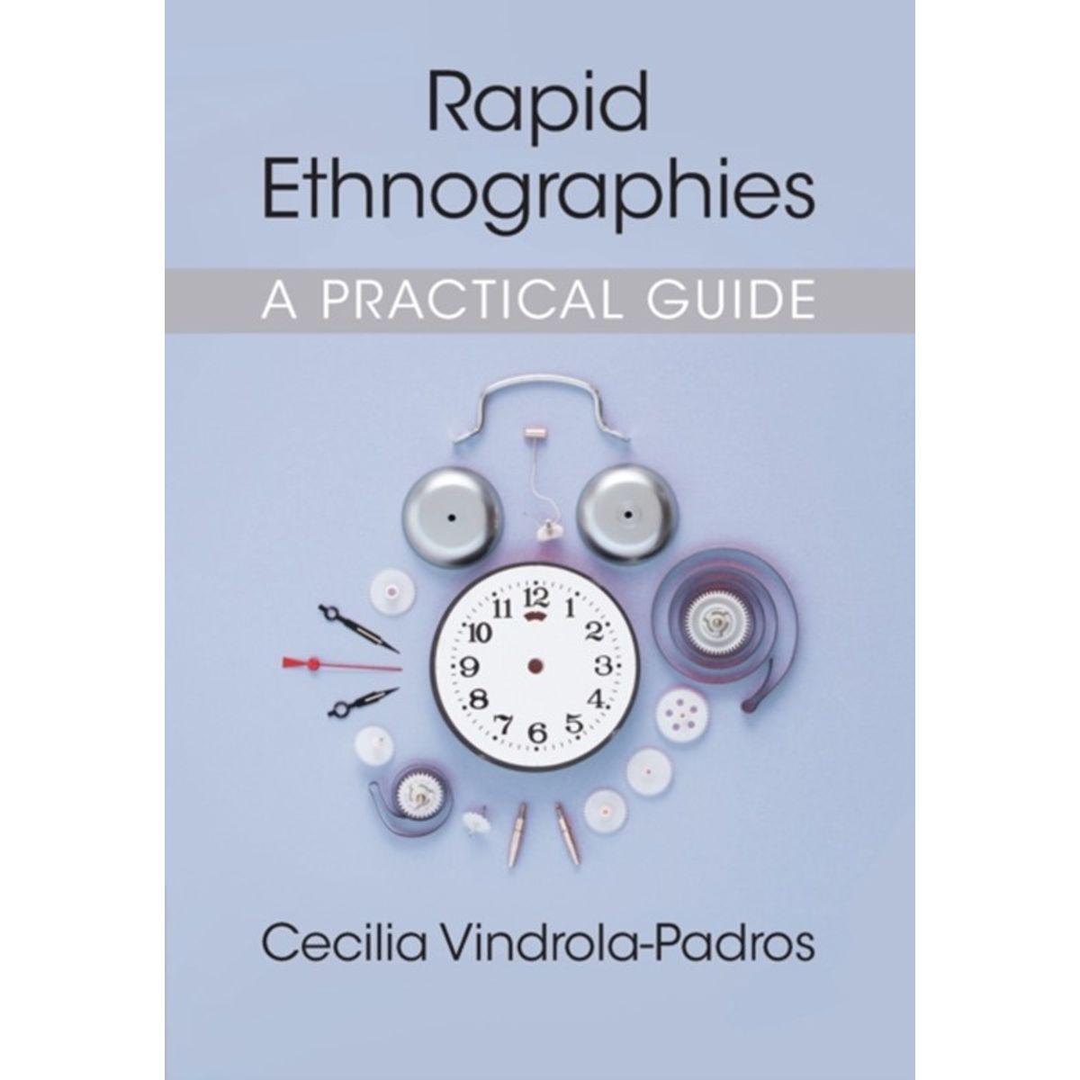 Rapid Ethnographies