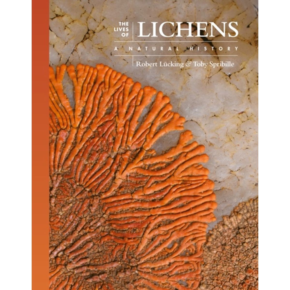 The Lives of Lichens