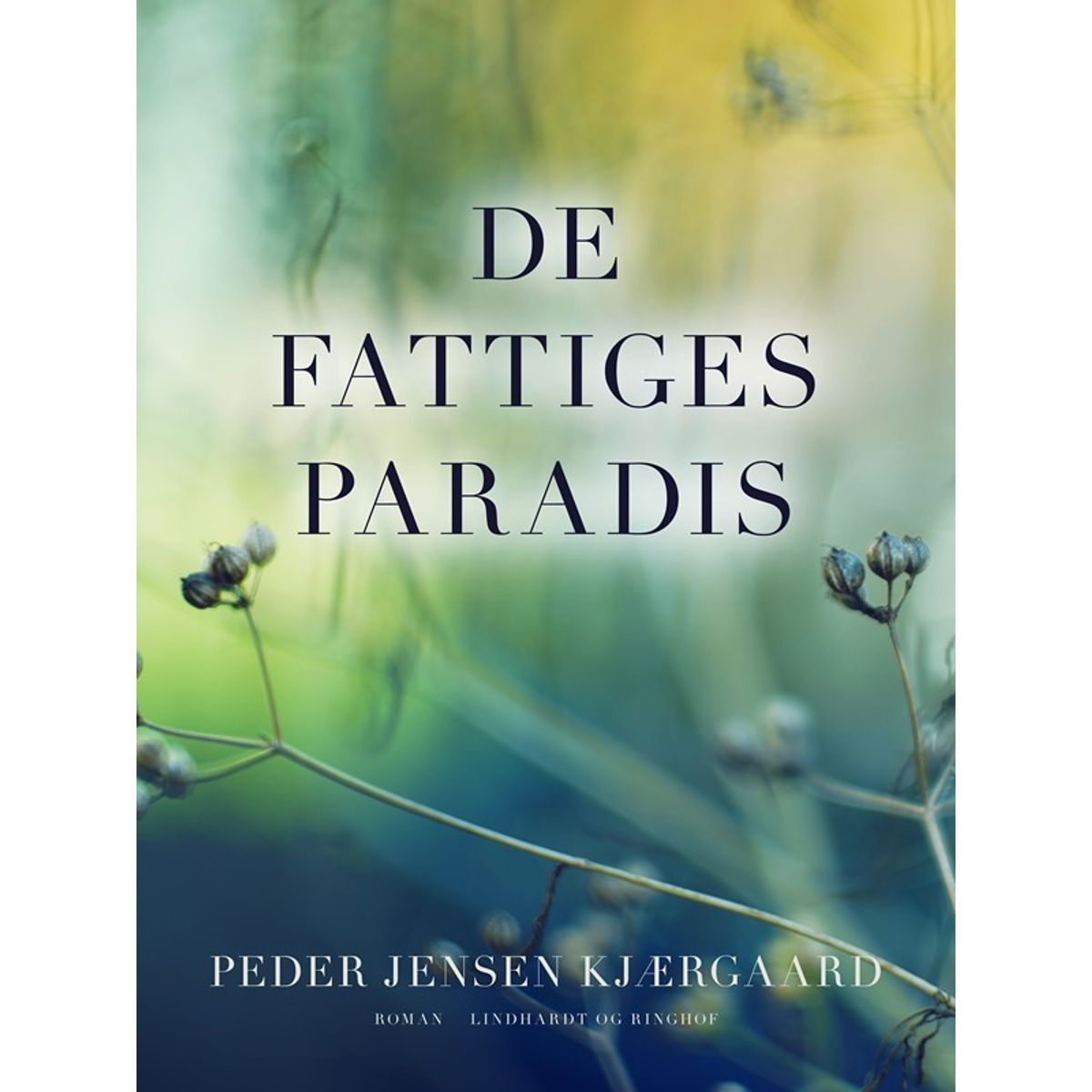 De fattiges paradis