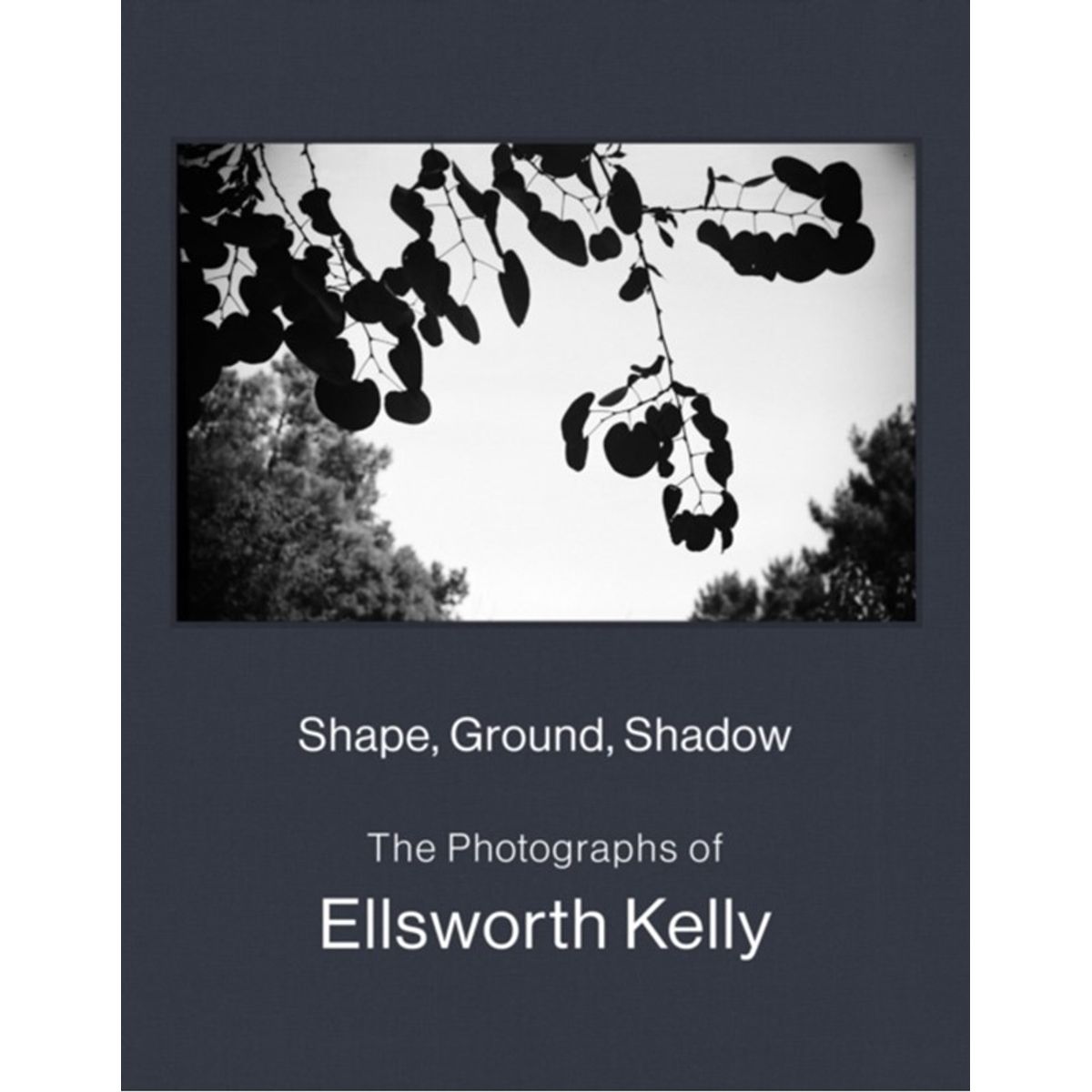 Shape, Ground, Shadow: The Photographs of Ellsworth Kelly