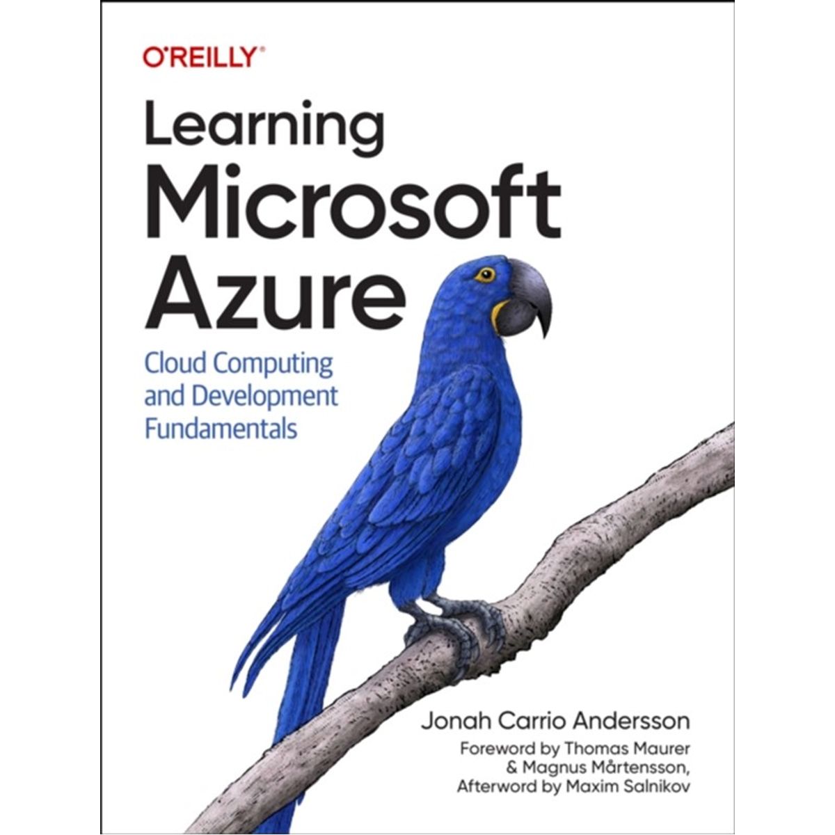 Learning Microsoft Azure