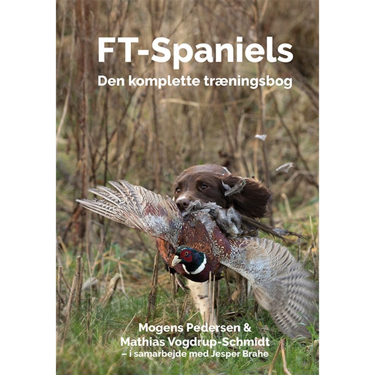 FT-Spaniels