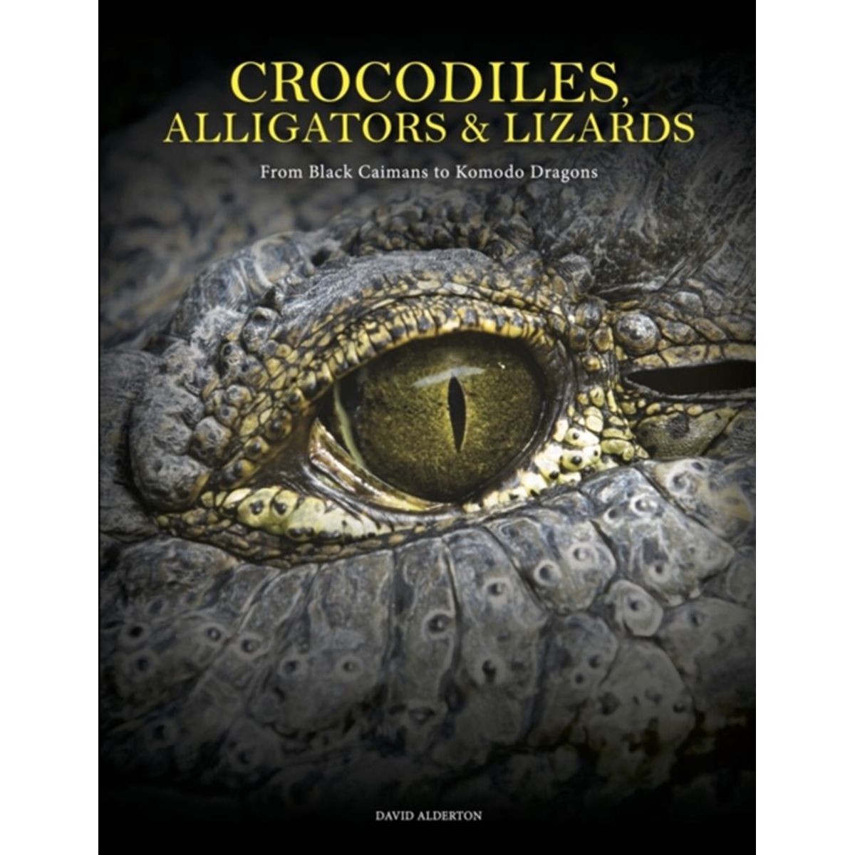 Crocodiles, Alligators & Lizards