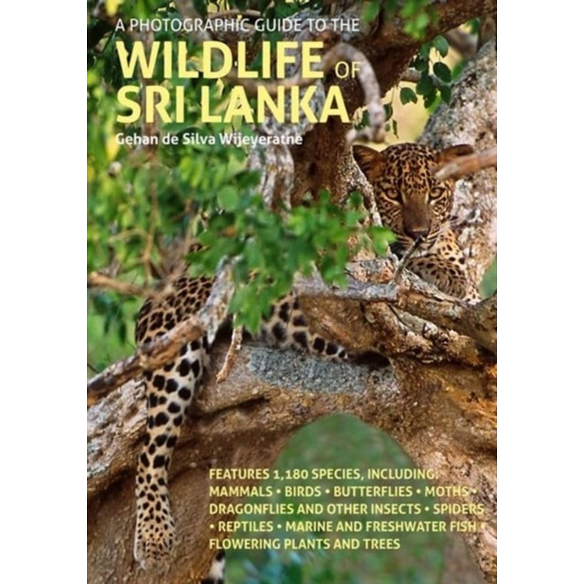 A Photographic Guide to the Wildlife of Sri Lanka