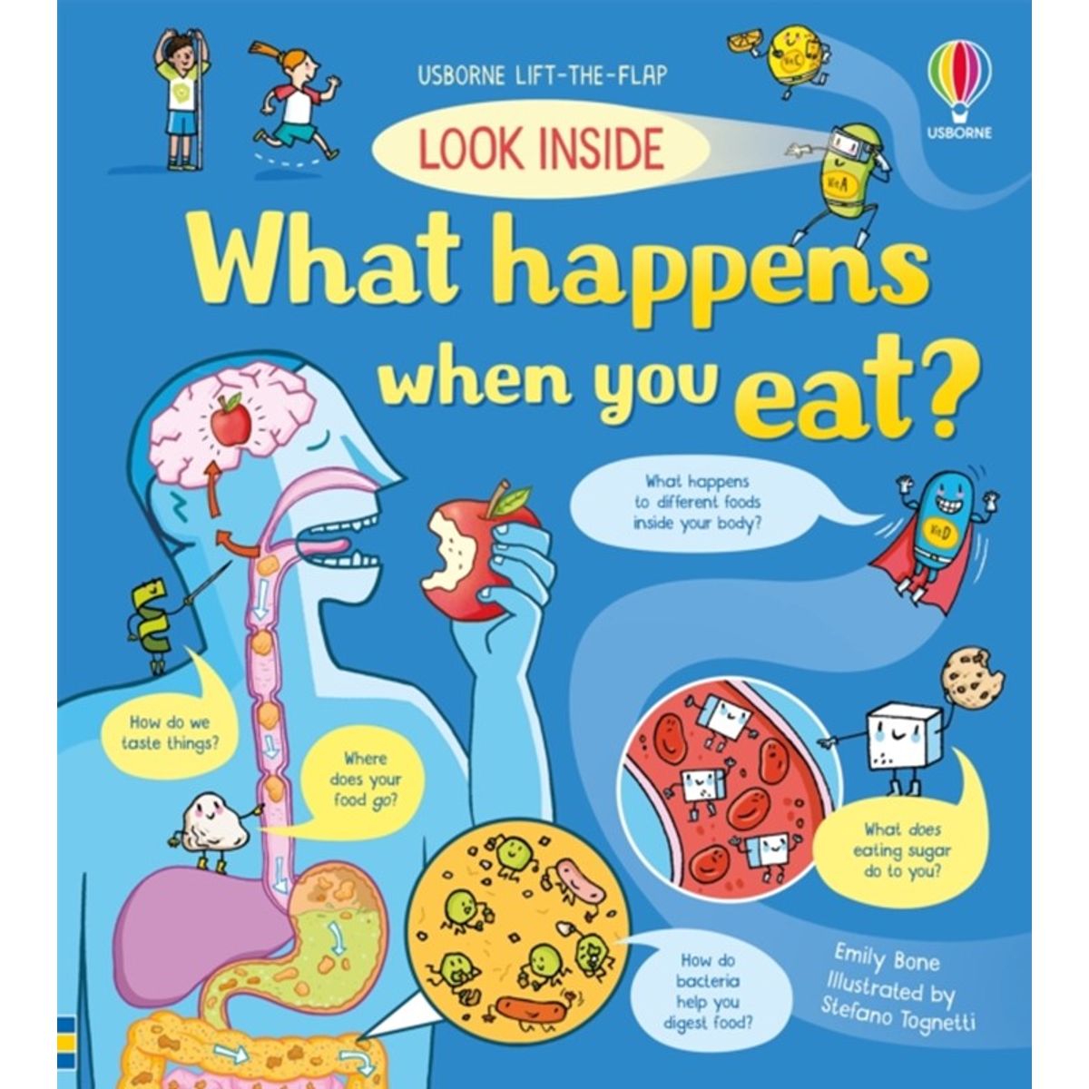 Look Inside What Happens When You Eat