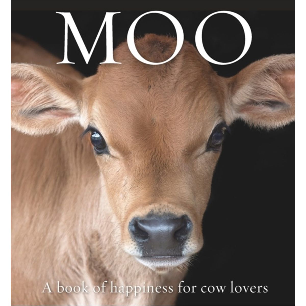 Moo