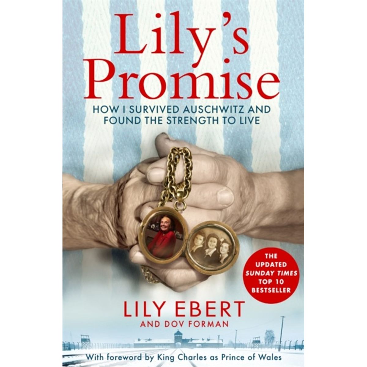 Lily's Promise