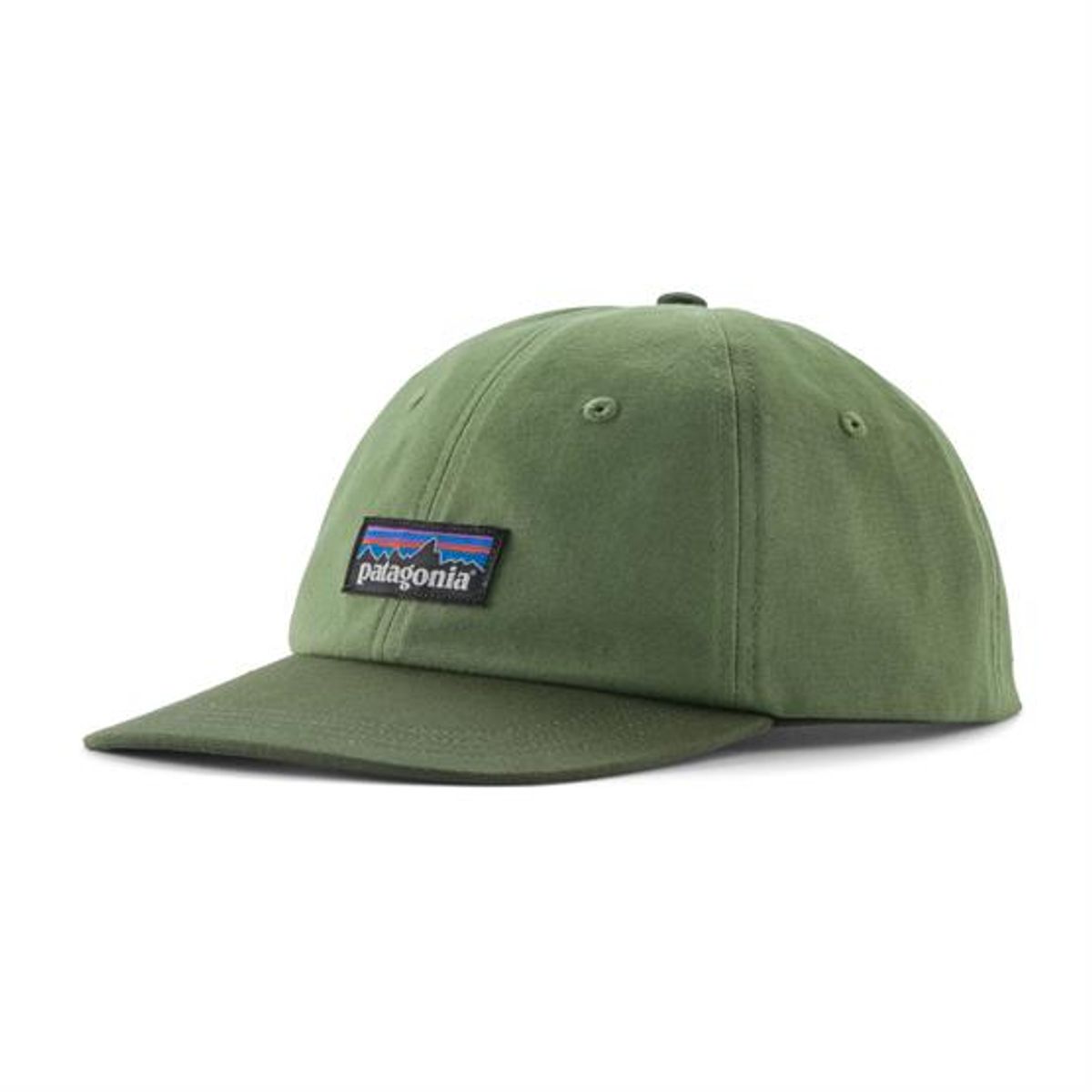 Patagonia P-6 Label Trad Cap