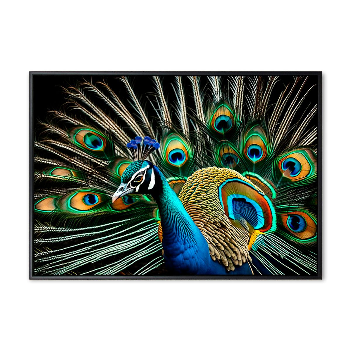 Peacock 02 - 70x100 cm - Sort svæveramme