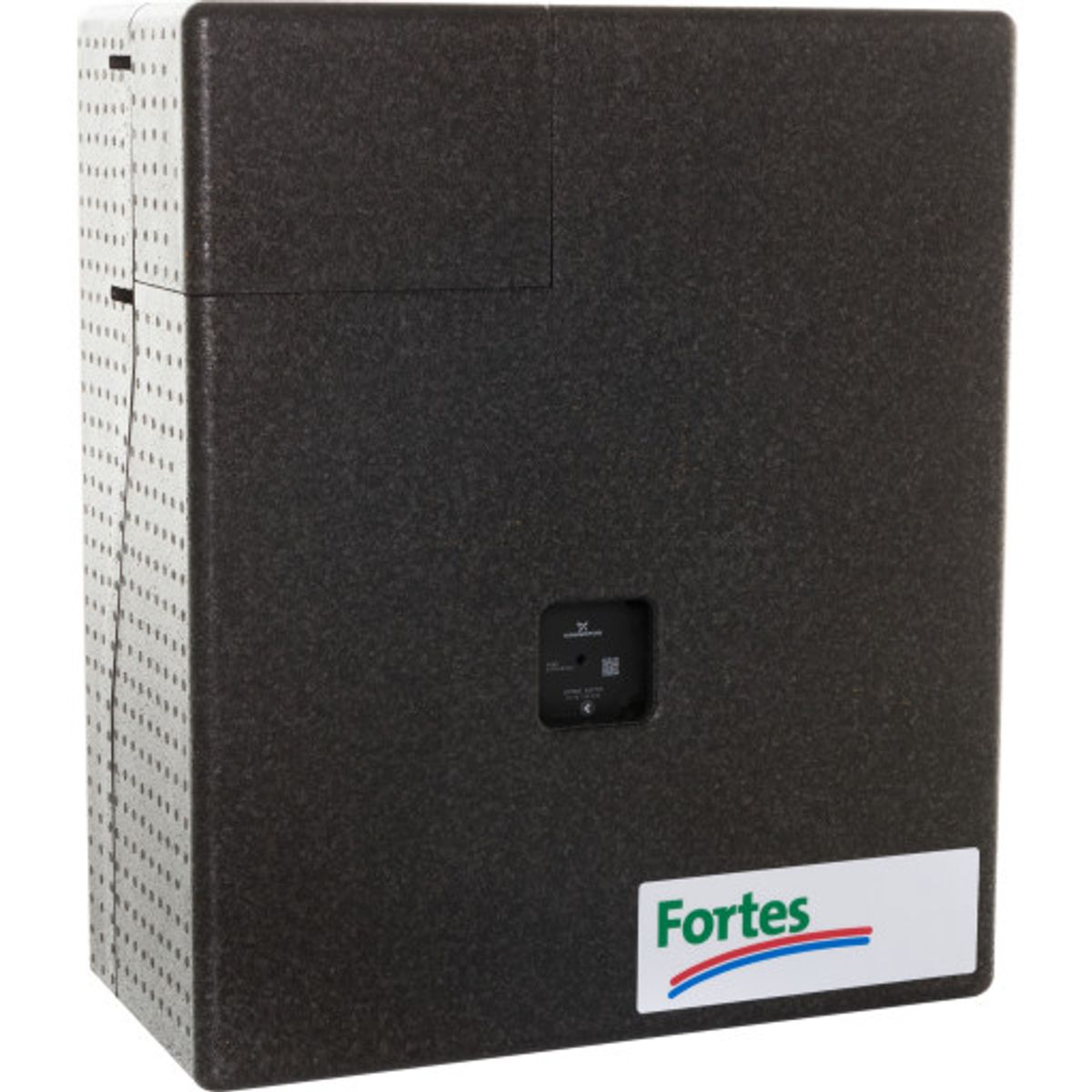 Fortes Hoval Homeheat TD-2