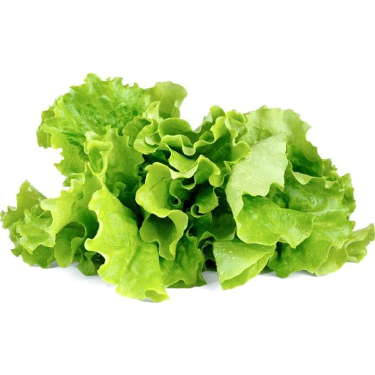 Click and Grow Grøn salat, 3-pak