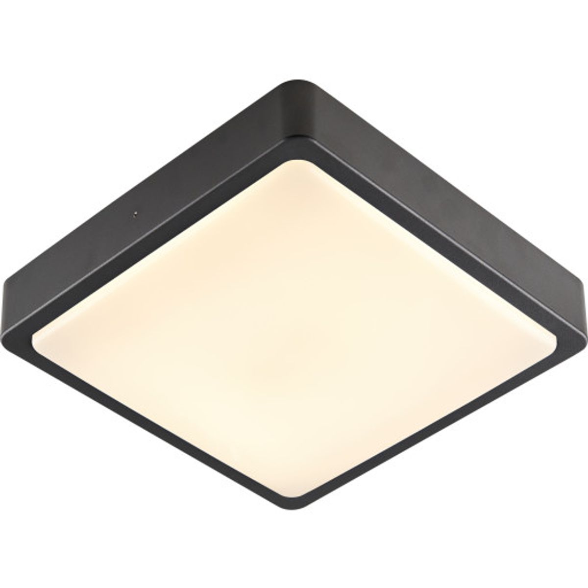 Ainos Square Udend. LED Væg-og Loft Antracit CCT 3000/4000K