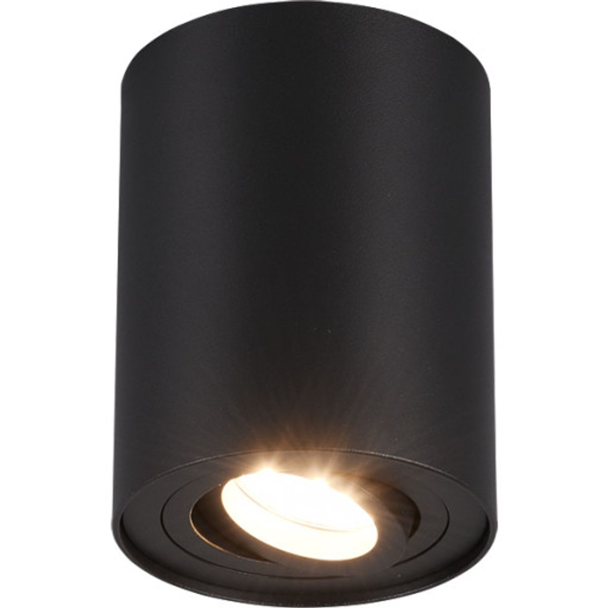 Trio Lighting Cookie loftlampe, sort