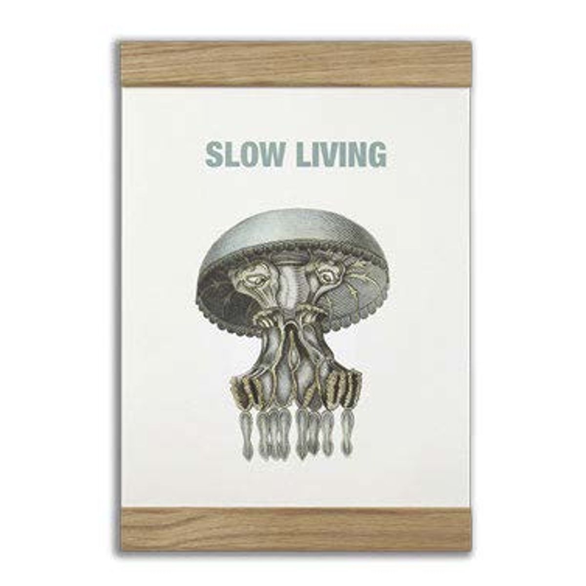 Message Earth - Slow living, 2-in-one