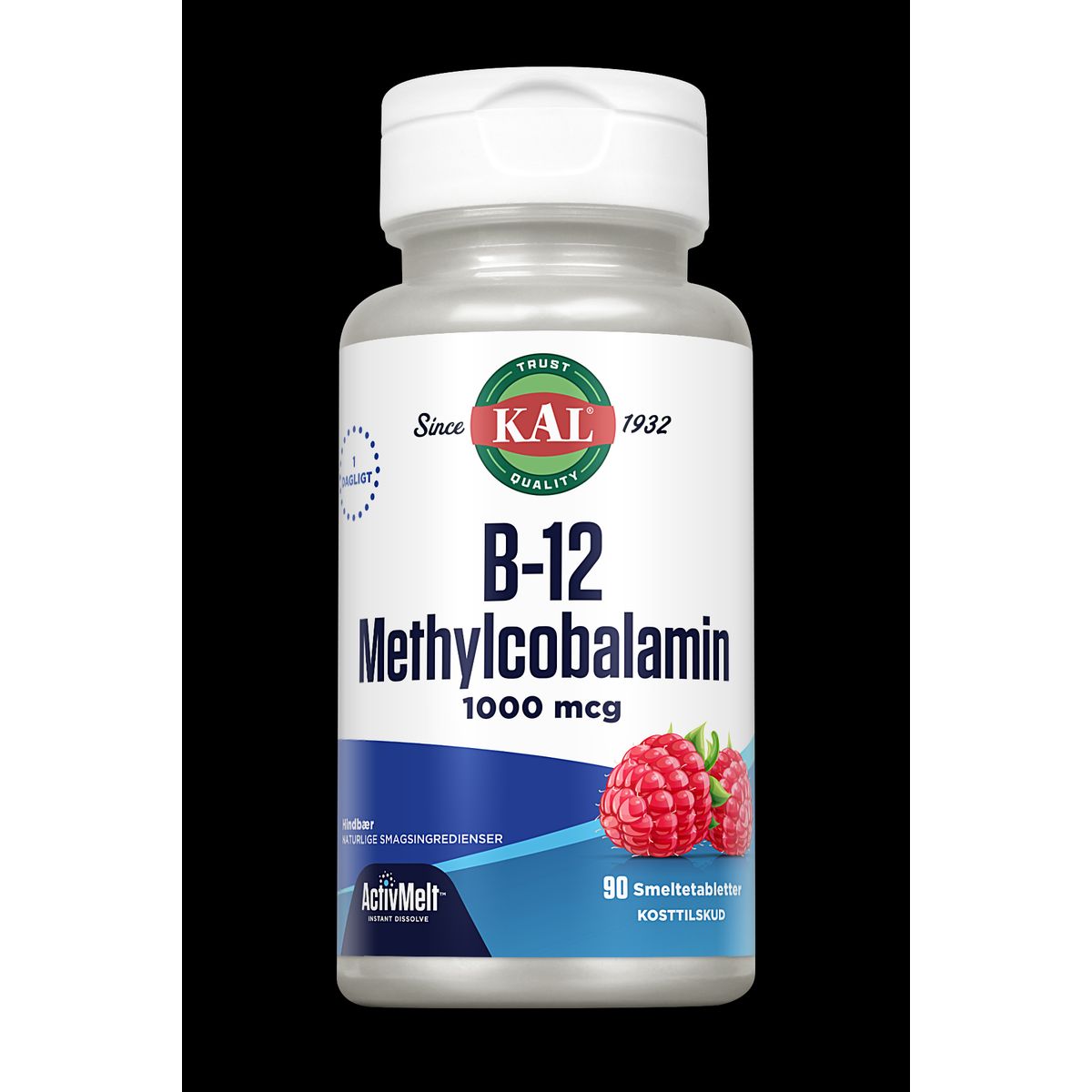 B12 Methylcobalamin 90 tabletter