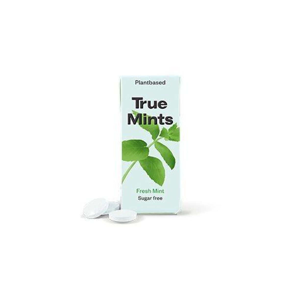 Pastiller Fresh Mint True Mints - 13 gram