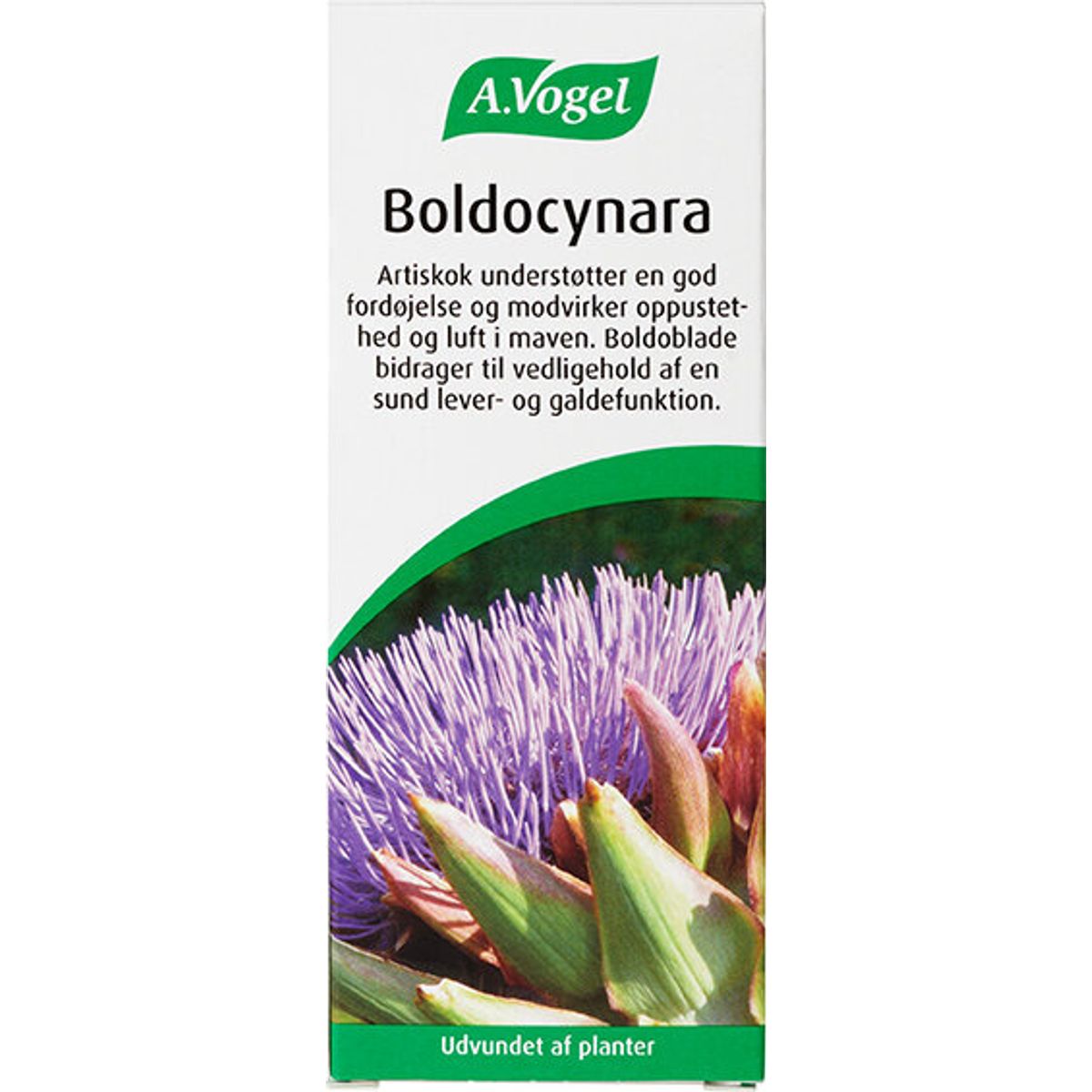 Boldocynara - 100 ml.