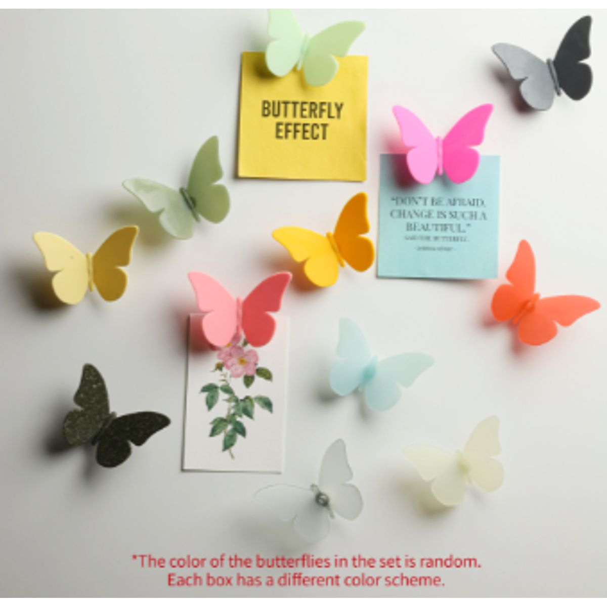 Qualy Butterfly Magnet, Mix