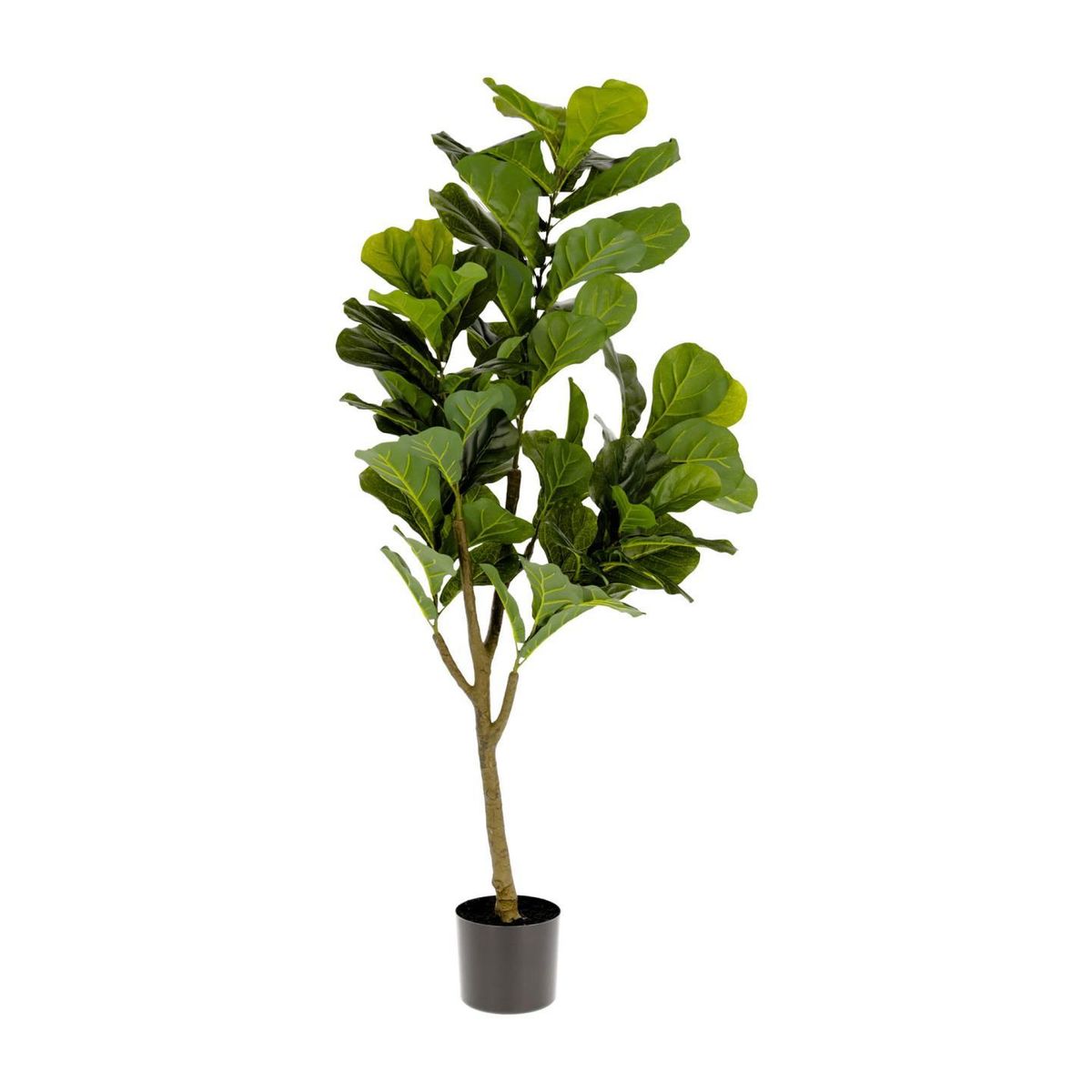 KAVE HOME Ficus kunstig plante - grøn polyethylen (H:150)