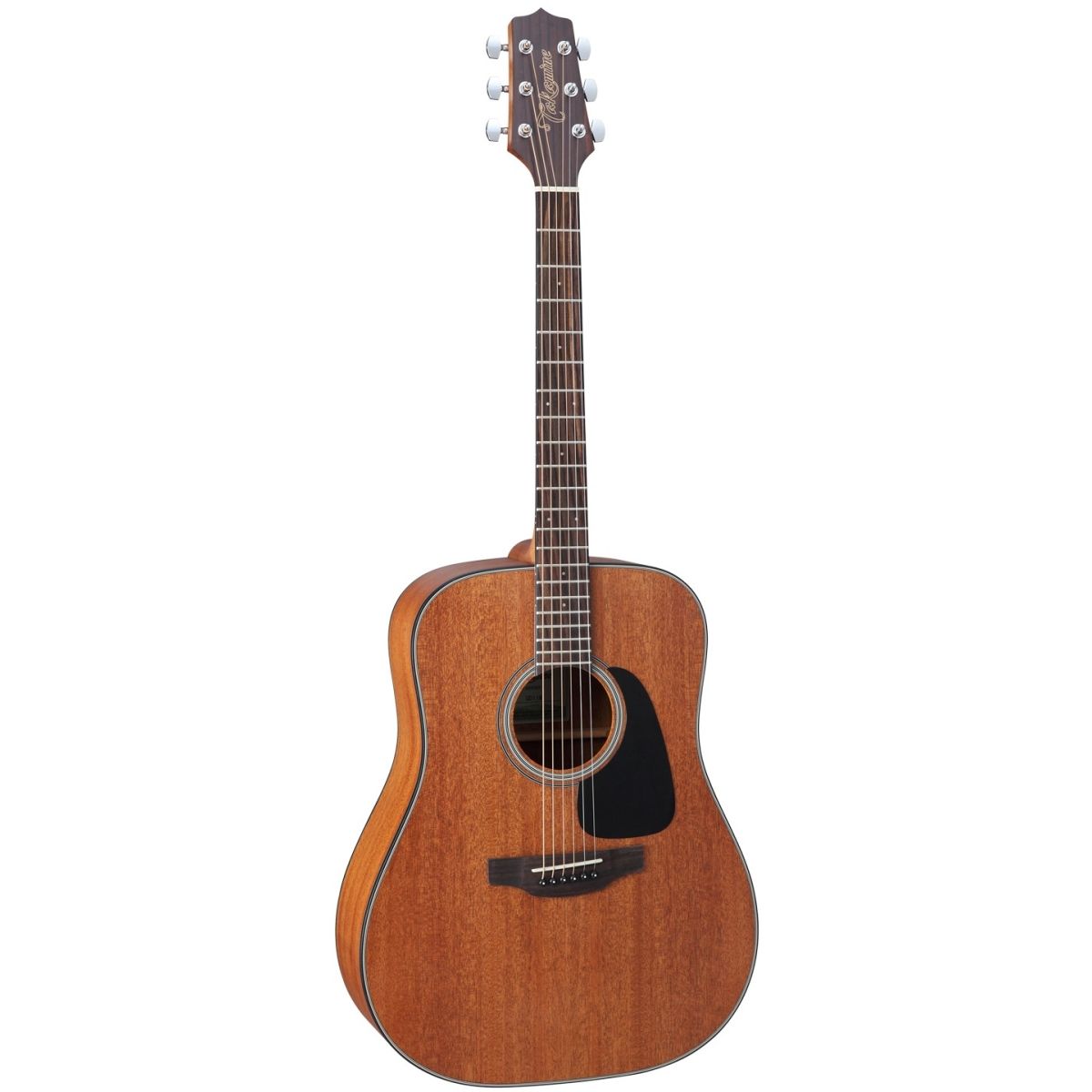 Takamine GD11M-NS