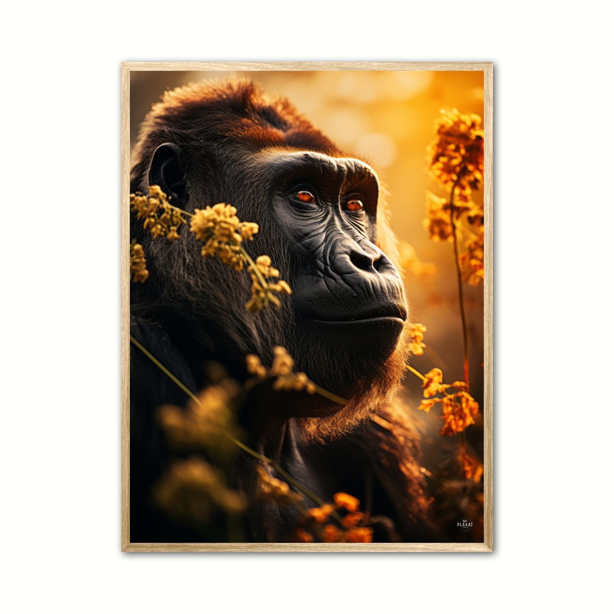 Plakat med Gorilla Plakat 4 50 x 70 cm (B2)