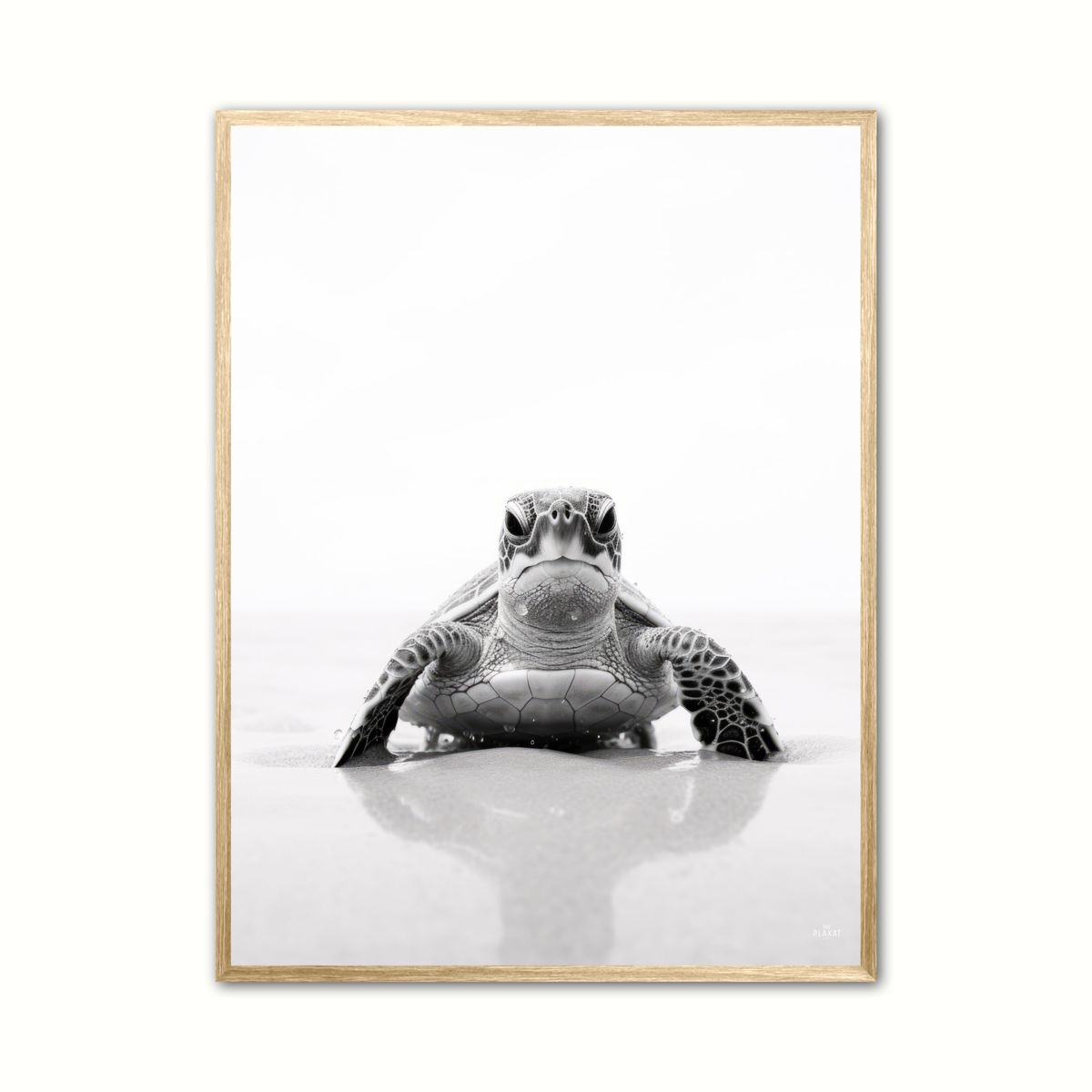 Plakat med Skildpadde Plakat 2 30 x 40 cm