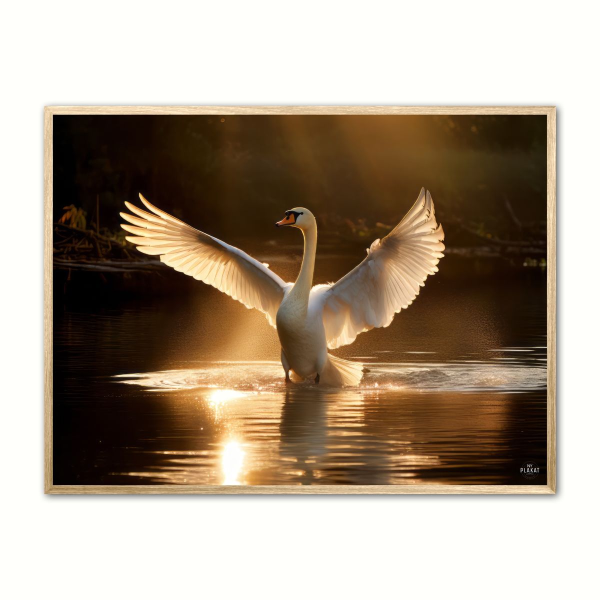 Plakat med Svane Plakat 7 50 x 70 cm (B2)