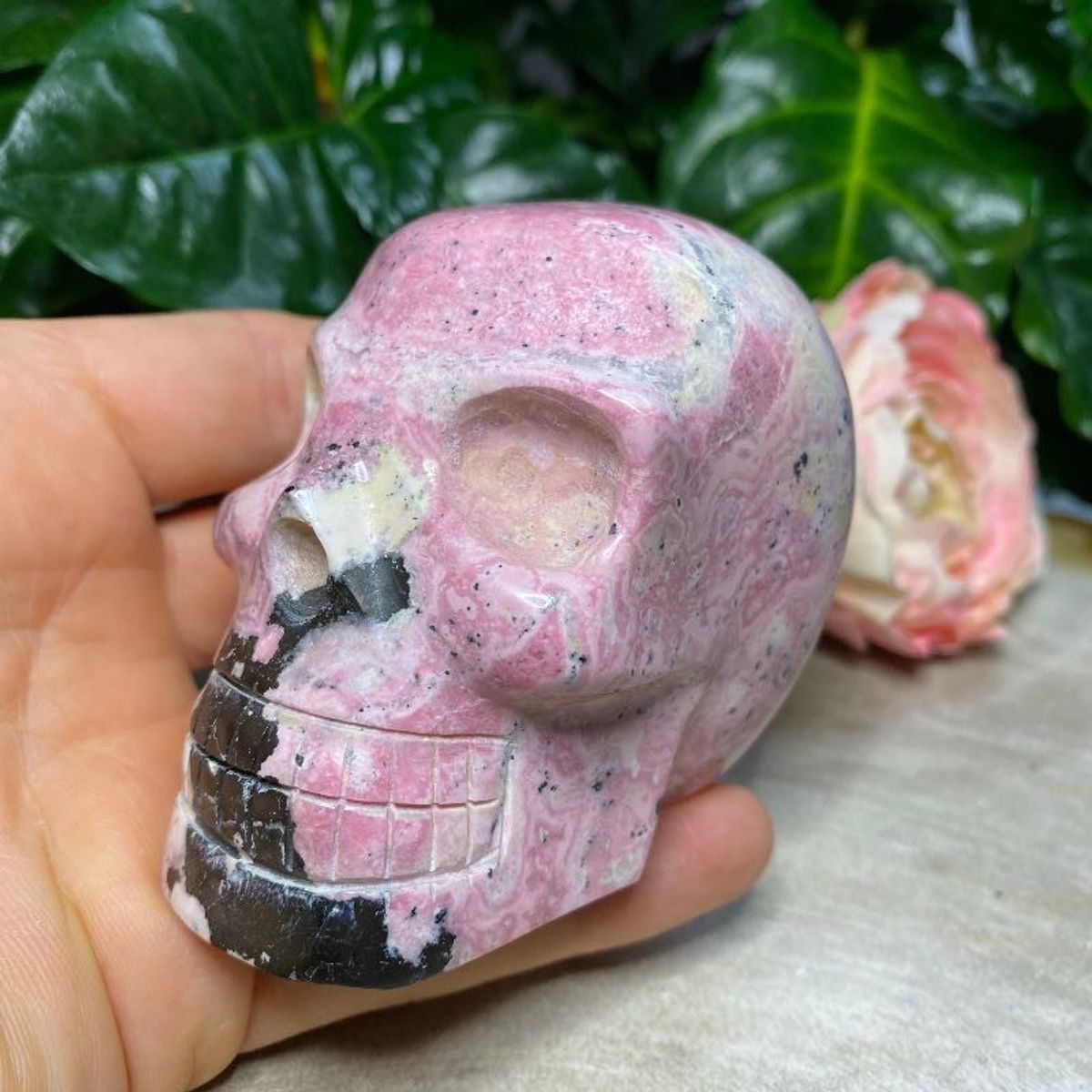 Rhodonit skull