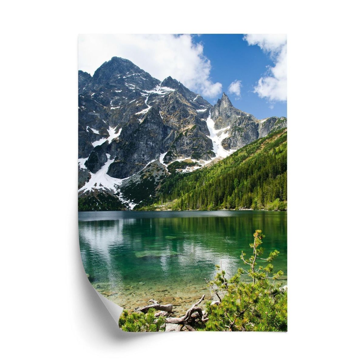 Plakat - Morskie oko i de polske tatrabjerge