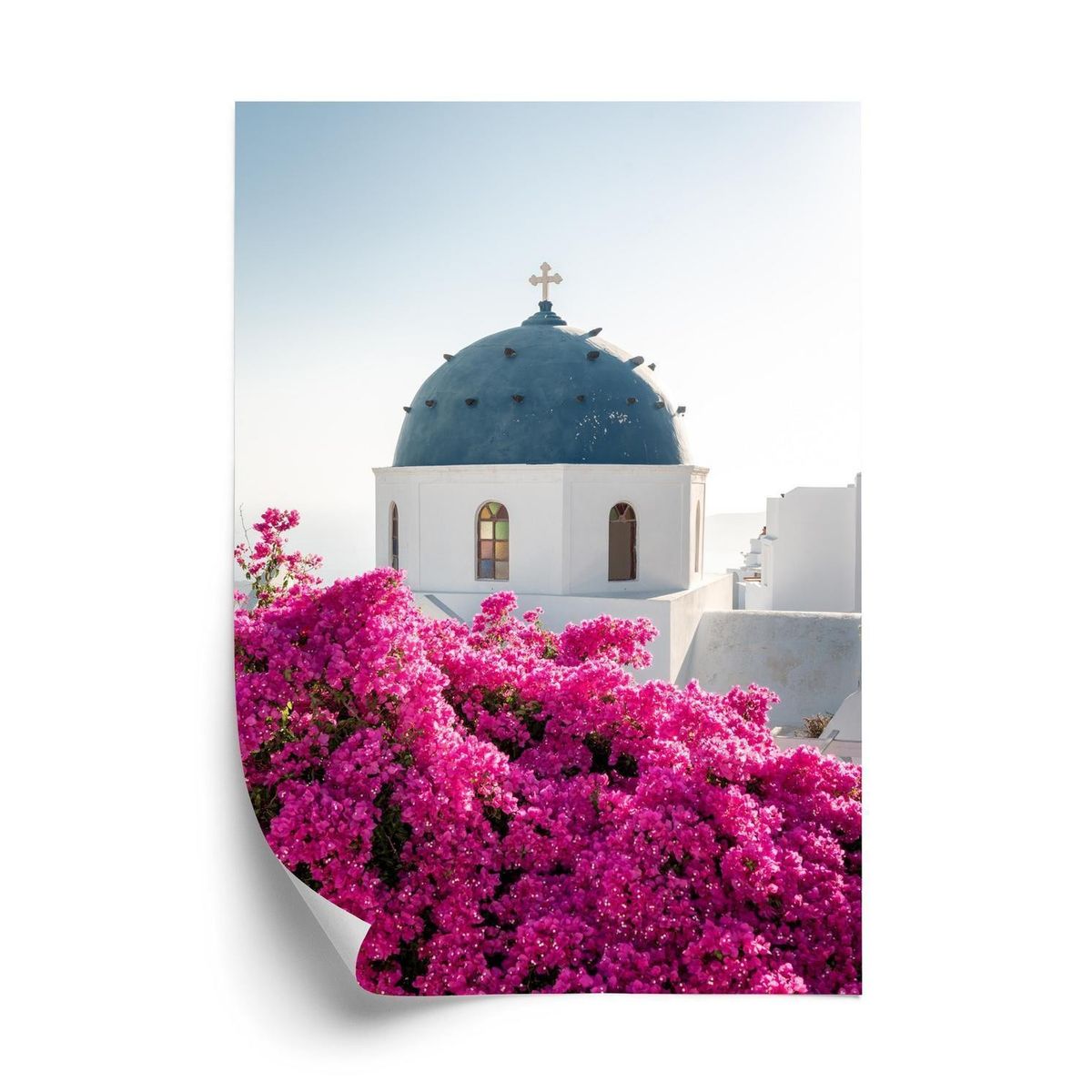 Plakat - Typisk santorini-Arkitektur og blomstrende bougainvillea