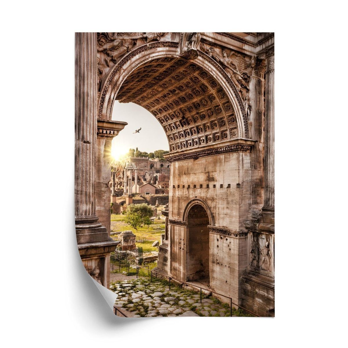 Plakat - Arkitektur af forum romanum i rom