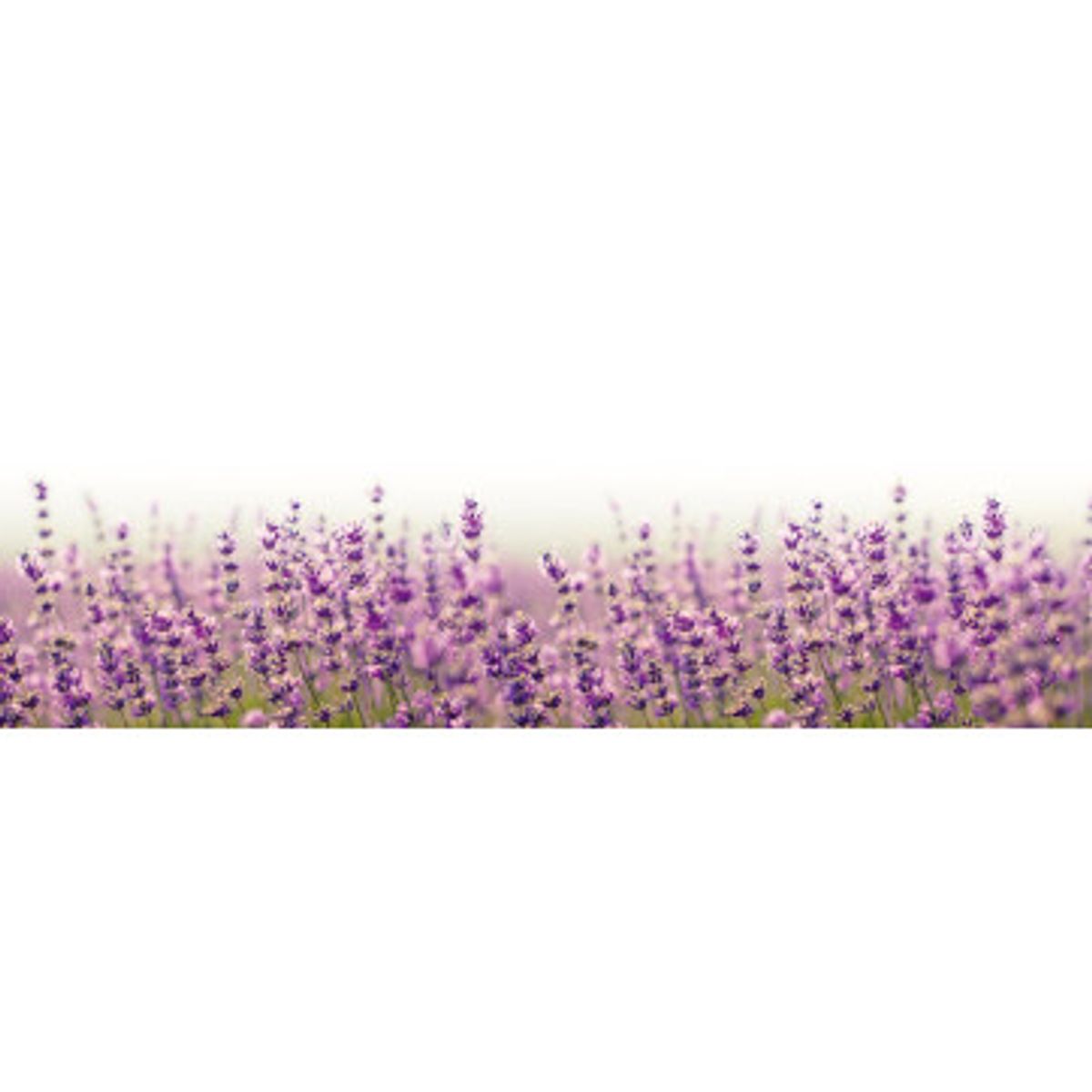 Stænkfolie til køkken - Fabulous Lavender