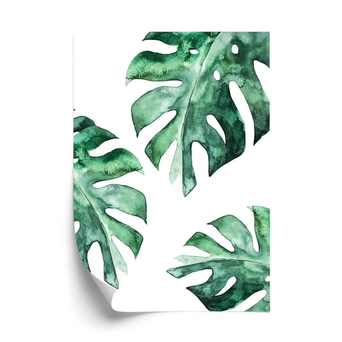 Plakat - Tre akvarel monstera blade