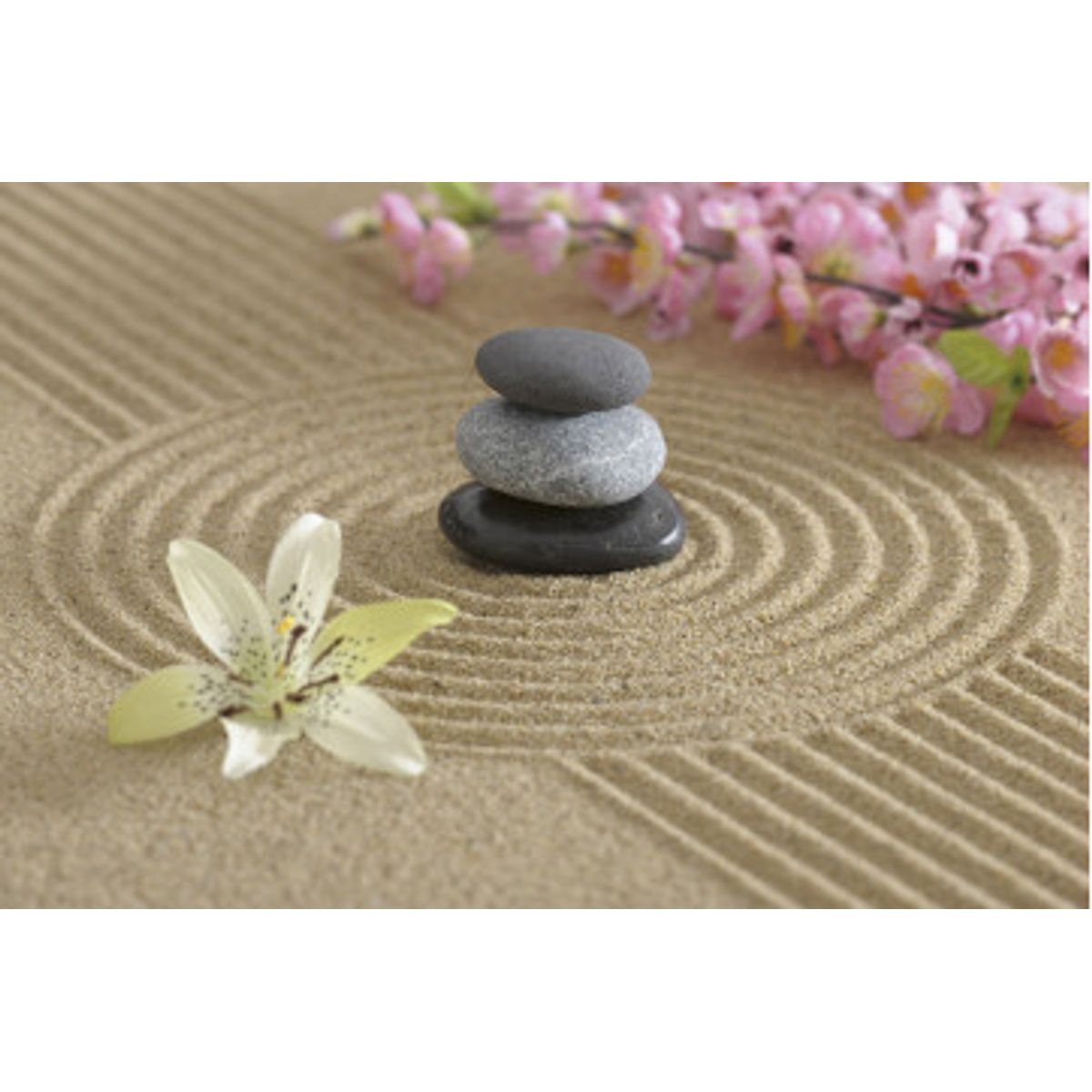 Fototapet - Zen Garden