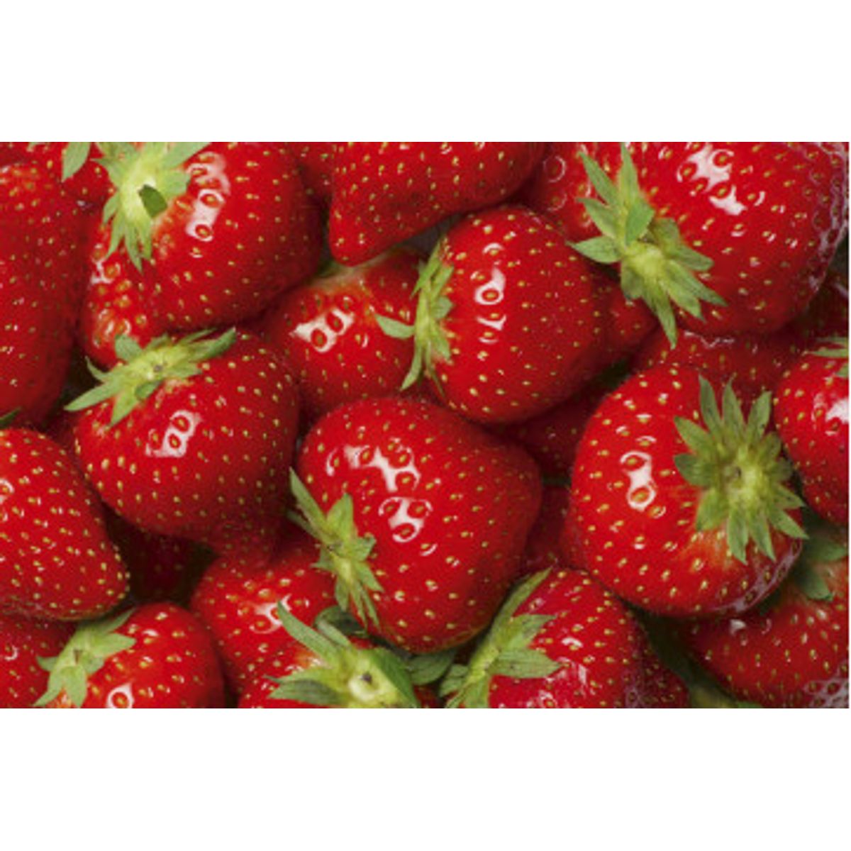 Fototapet - Strawberry