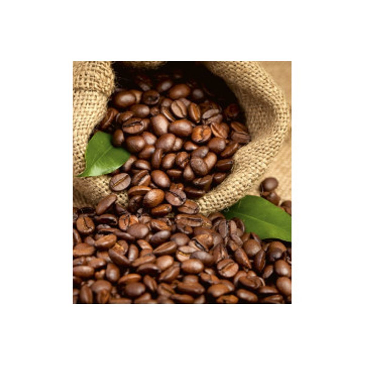 Fototapet - Coffee Beans