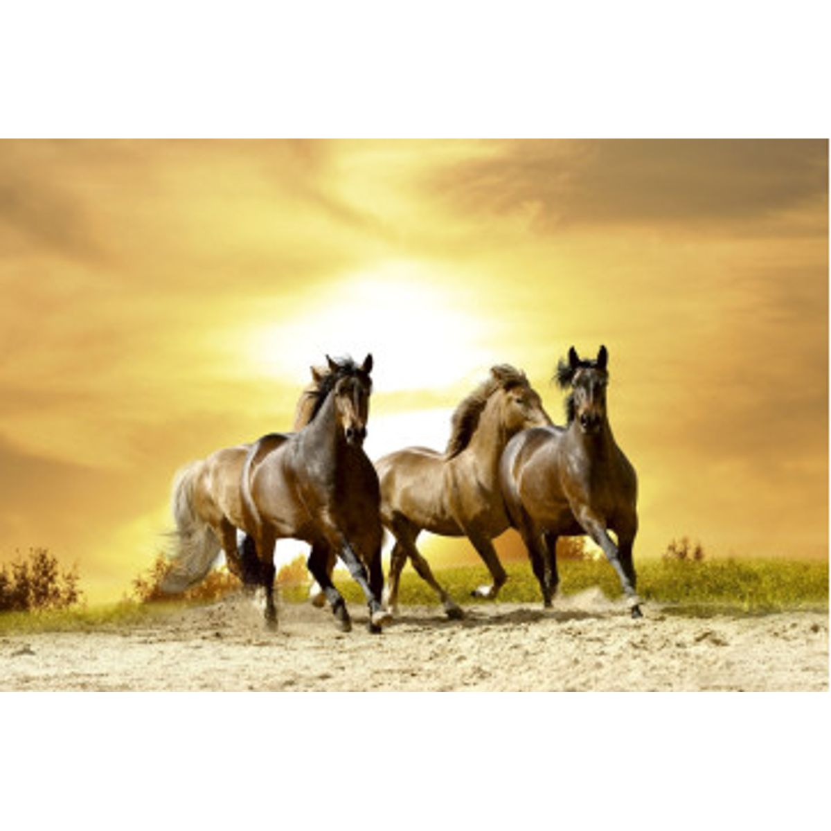 Fototapet - Horses In Sunset