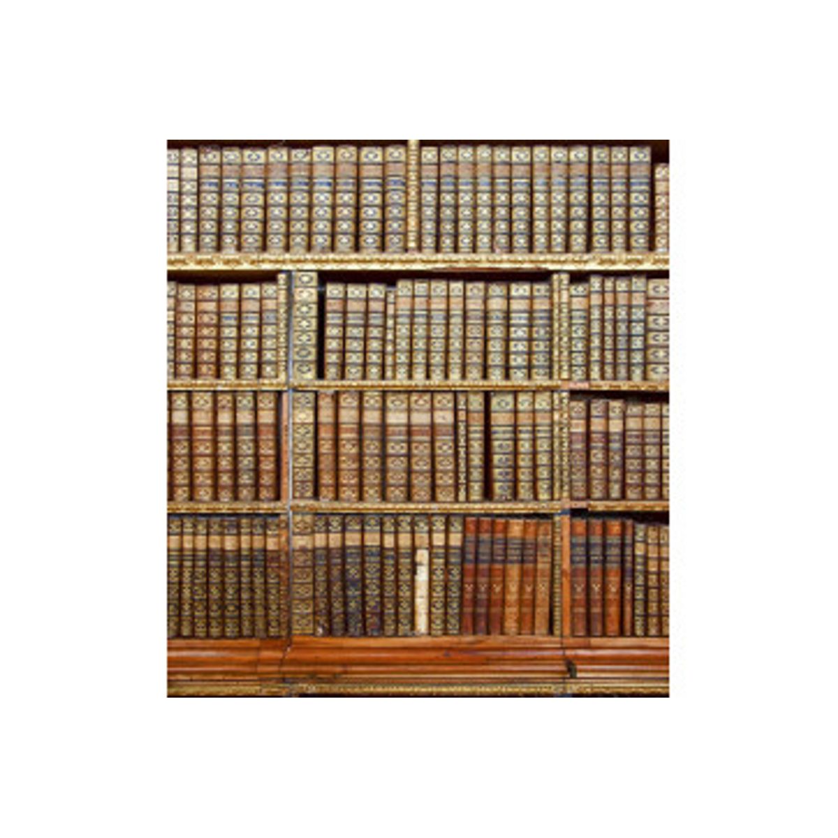 Fototapet - Library