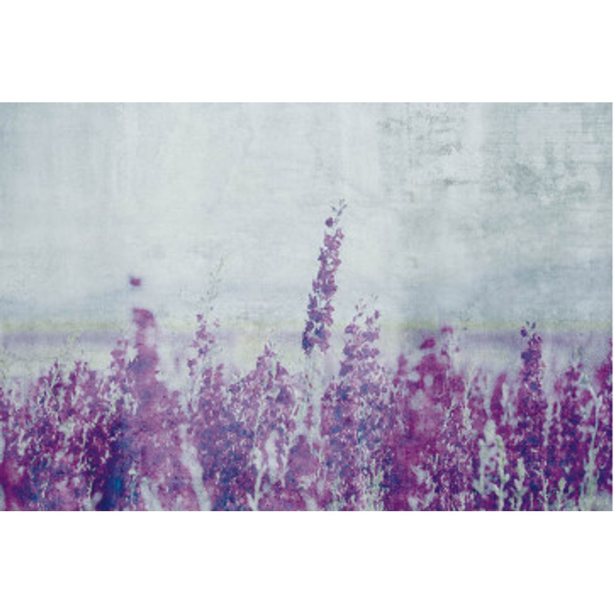 Fototapet - Lavender Abstract