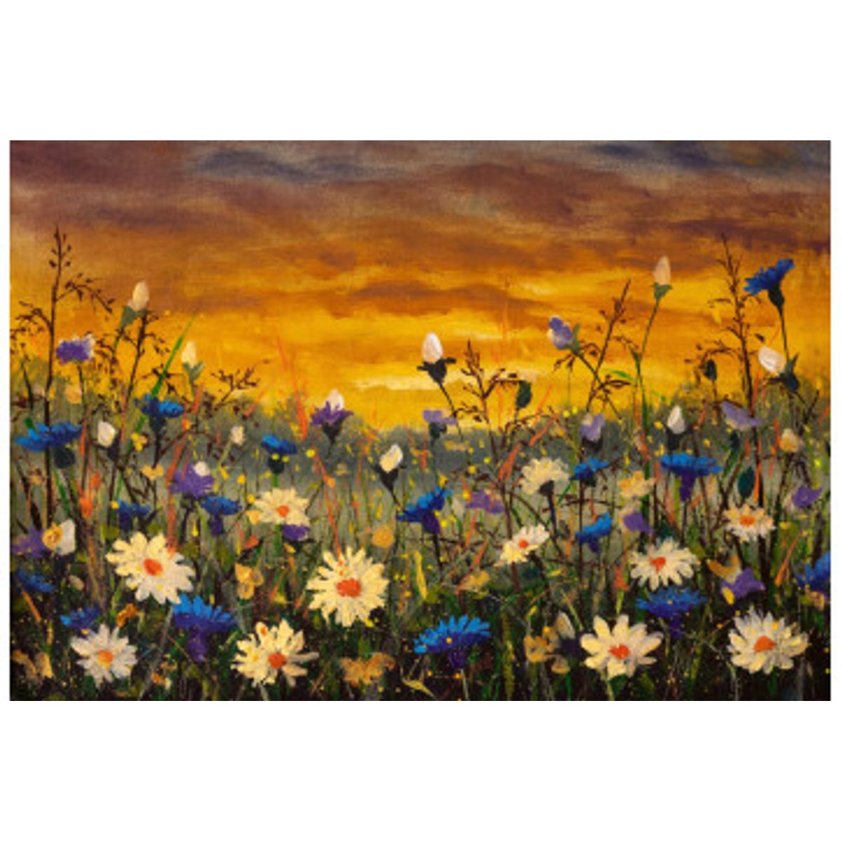 Fototapet - Daisies And Blue Cornflowers