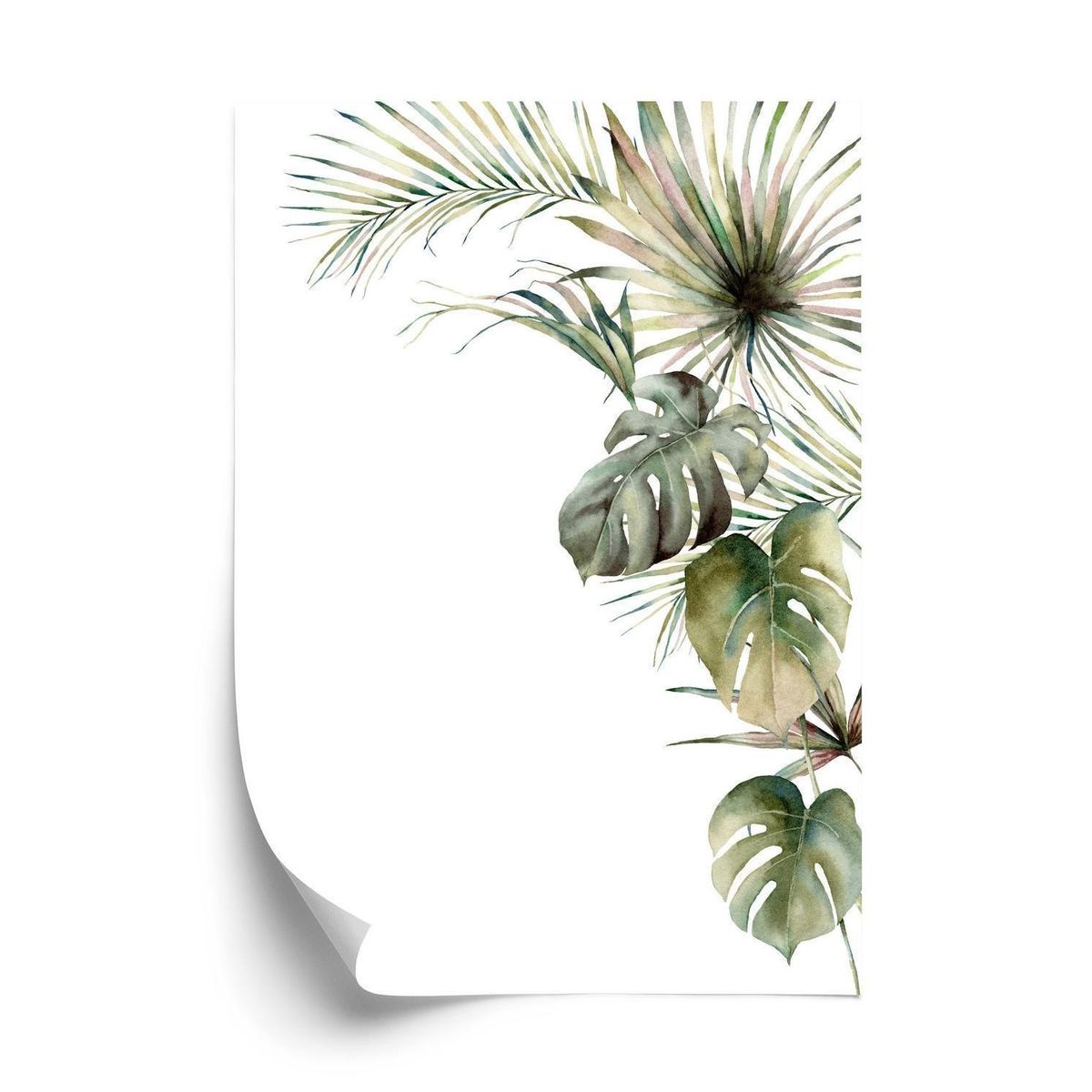 Plakat - Palme og monstera vegetation isoleret akvarel baggrund