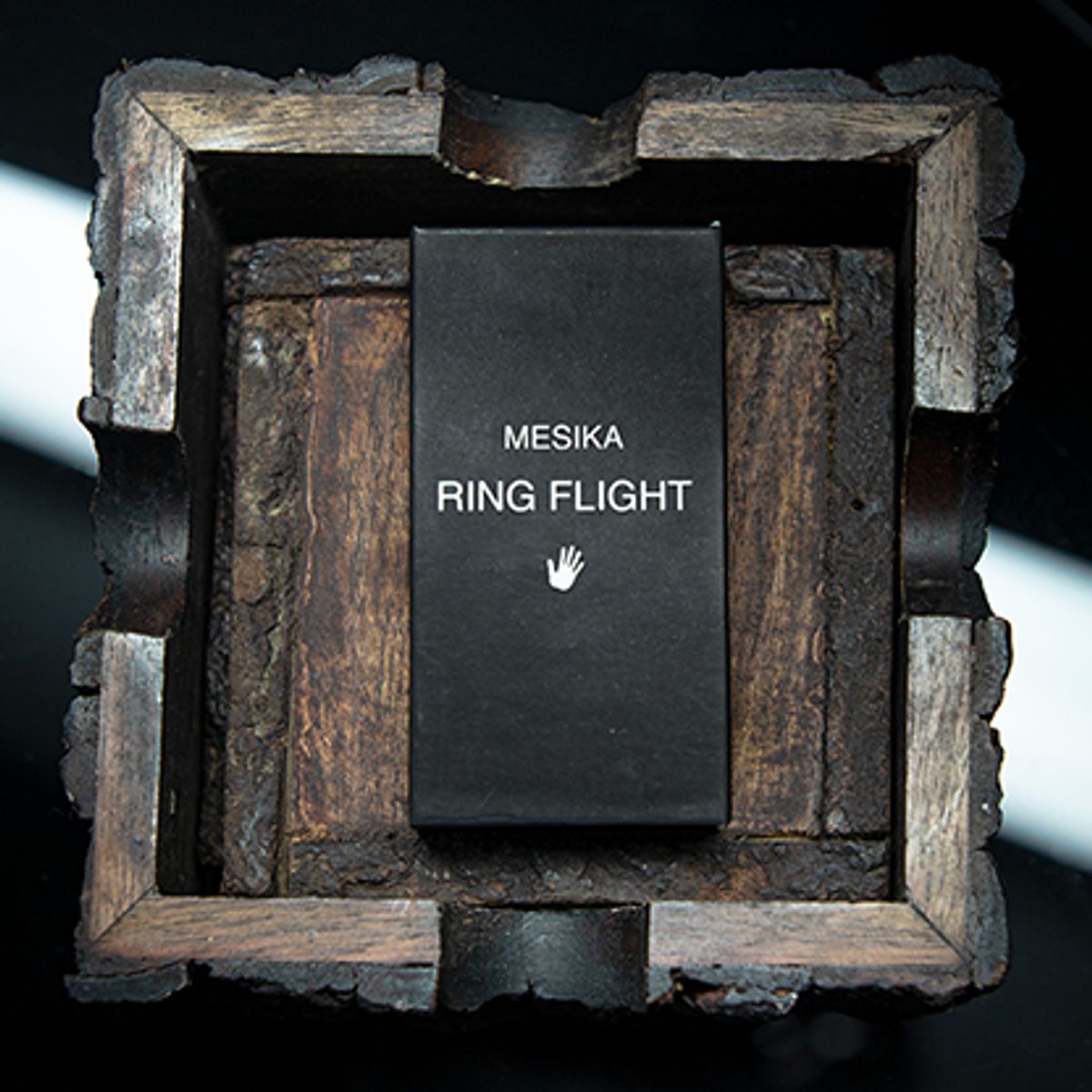 Mesika Ring Flight by Yigal Mesika