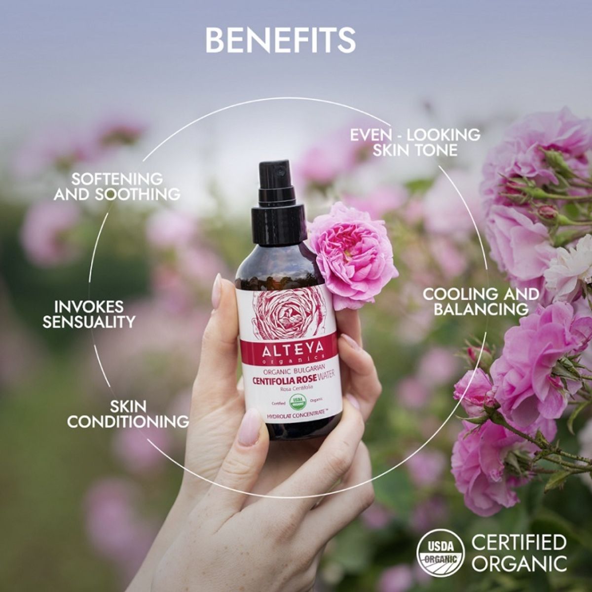 Alteya Organics - Centifolia Rose Water - Zero Waste 120ml