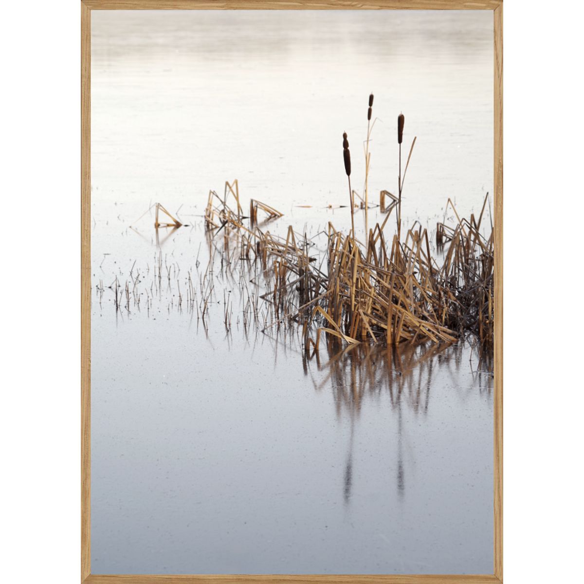 FROSSEN SØ - NATURPLAKAT A5 (14,8 x 21cm) - BOLIGEN > NATURPLAKATER - Living Nature