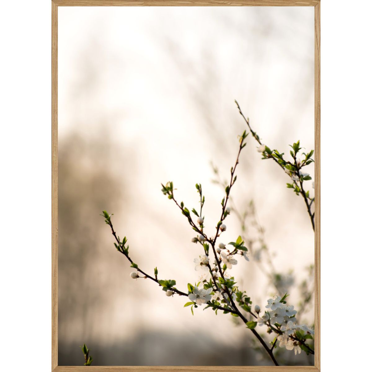 FORÅR - NATURPLAKAT A3 (29,7 x 42cm) - BOLIGEN > NATURPLAKATER - Living Nature