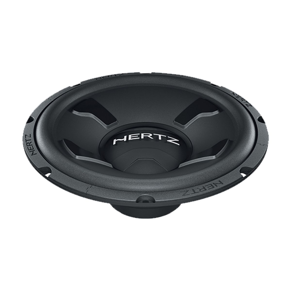 HERTZ DS 25 Subwoofer (250mm, 10")