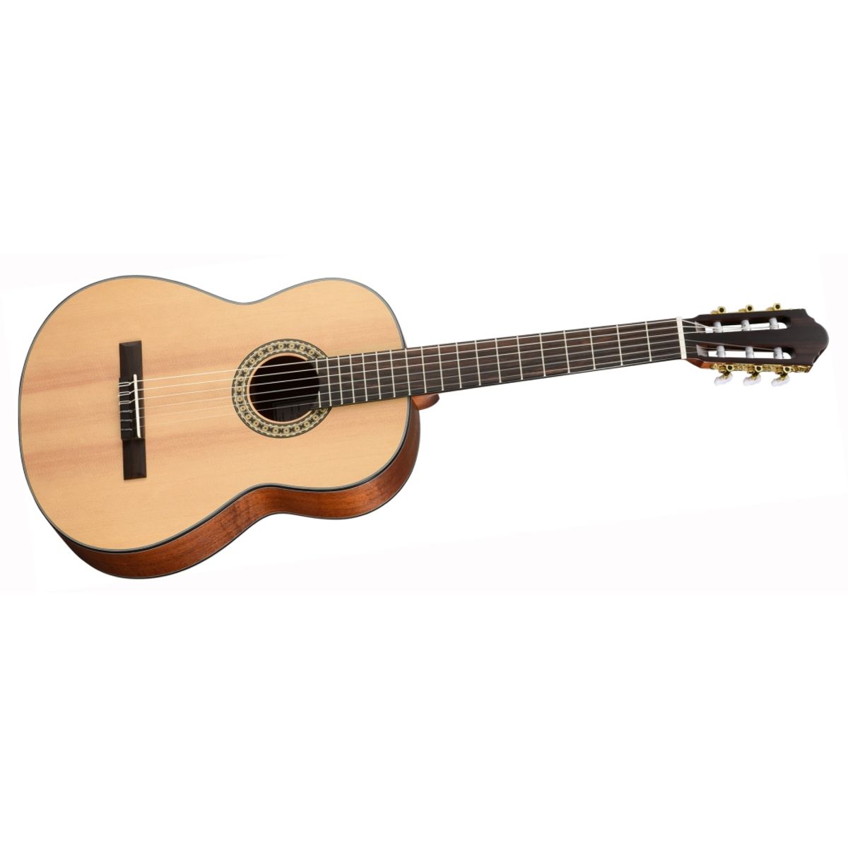 Walden N550EW Klassisk Spansk Guitar (Natur)