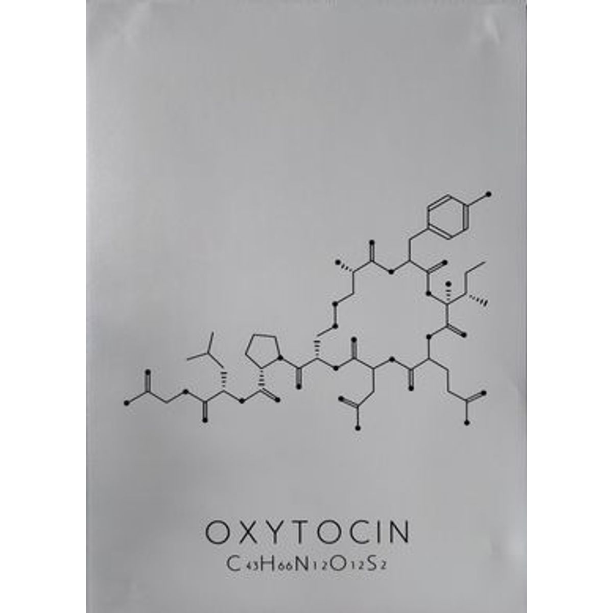 Plakat Oxytocin